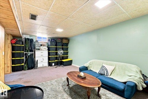 51 Birch Drive, Gibbons, AB - Indoor Photo Showing Basement