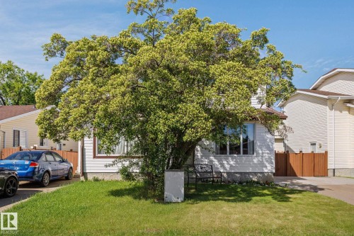 White siding exterior with a brown trim window, established front yard tree, and a concrete driveway - 17132 103 Street Nw, Edmonton, AB 