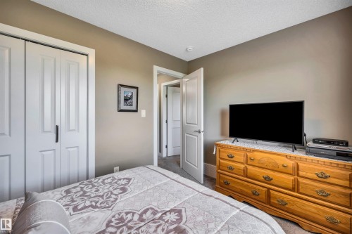 5033 Andison Close Sw, Edmonton, AB - Indoor Photo Showing Bedroom