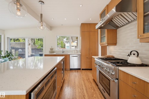 13808 Buena Vista Road Nw, Edmonton, AB - Indoor Photo Showing Kitchen With Upgraded Kitchen