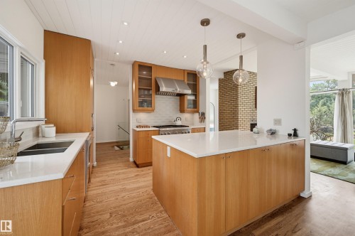 13808 Buena Vista Road Nw, Edmonton, AB - Indoor Photo Showing Kitchen With Double Sink With Upgraded Kitchen