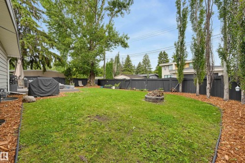 13808 Buena Vista Road Nw, Edmonton, AB - Outdoor With Backyard