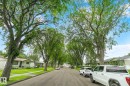 Tree lined Street. - 11031 152 Street Nw, Edmonton, AB  - Outdoor 