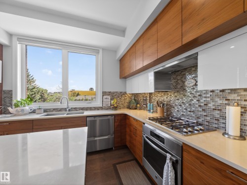 #403, 11710 87 Av Nw, Edmonton, AB - Indoor Photo Showing Kitchen With Double Sink With Upgraded Kitchen