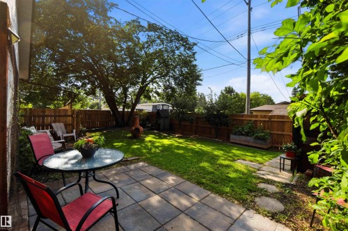 Private backyard featuring a paved patio area, expansive lawn, full privacy fencing, and mature trees - 5208 105 Street Nw, Edmonton, AB - Outdoor With Backyard