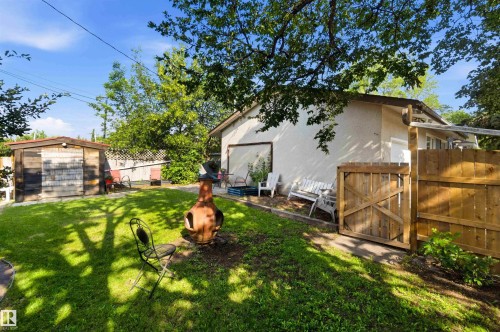 Expansive grassy yard with mature trees providing shade, featuring a wood fence, a separate storage shed with horizontal plank siding and shingle accents, and a stucco-sided structure - 5208 105 Street Nw, Edmonton, AB - Outdoor