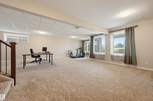 49 Danfield Place, Spruce Grove, AB - Indoor Photo Showing Basement