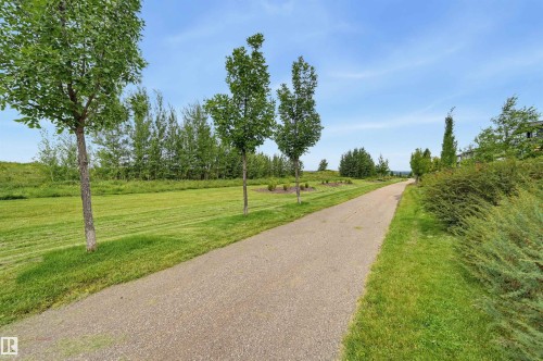 49 Danfield Place, Spruce Grove, AB - Outdoor With View