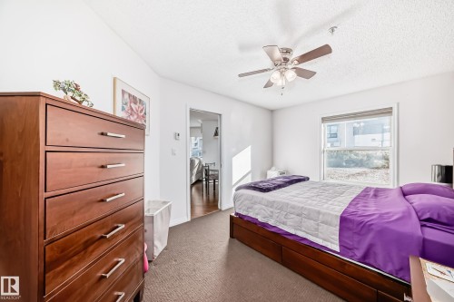 Carpeted flooring, white painted walls, ceiling fan with integrated lighting, and a large window - #108 12028 103 Av Nw, Edmonton, AB 