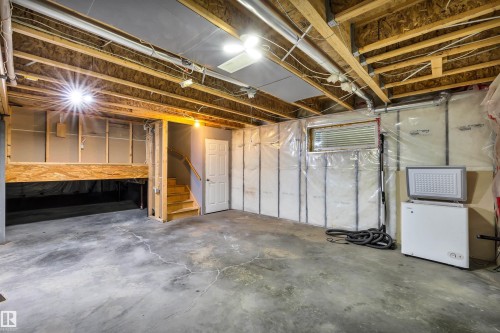 21243 91 Avenue Nw, Edmonton, AB - Indoor Photo Showing Basement