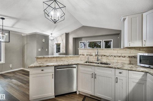 21243 91 Avenue Nw, Edmonton, AB - Indoor Photo Showing Kitchen With Double Sink