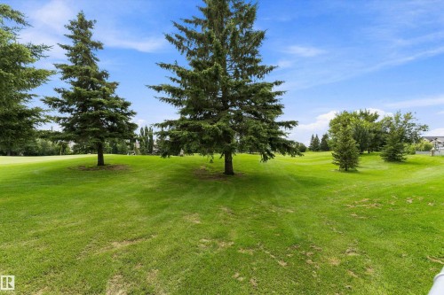 Expansive green space featuring evergreen trees and a manicured lawn - 20845 92A Avenue Nw, Edmonton, AB - Outdoor With View