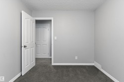 Neutral gray wall paint with white trim, dark gray carpeting, and white paneled doors - 