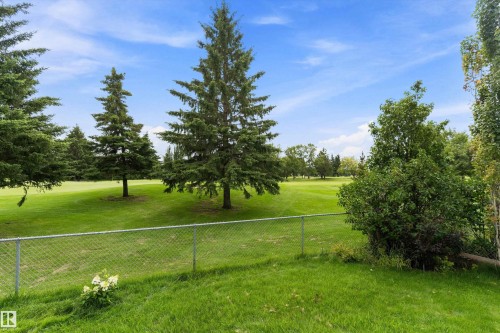 Expansive green space featuring a golf course, mature evergreen trees, and a chain-link fence - 20845 92A Avenue Nw, Edmonton, AB - Outdoor With View