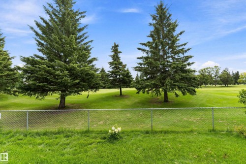 Expansive green space featuring a chain-link fence, mature evergreen trees, and manicured lawns - 20845 92A Avenue Nw, Edmonton, AB - Outdoor With View