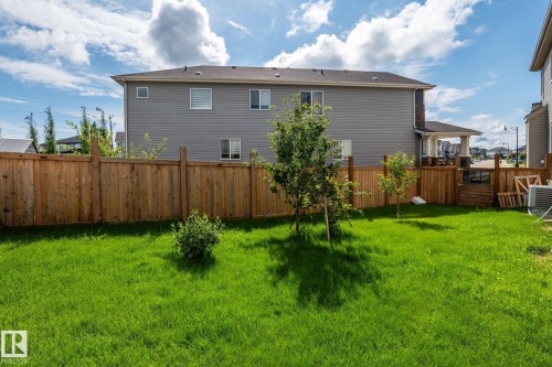 Expansive lawn area with a wood privacy fence, featuring several young trees and a covered patio structure - 923 174St Sw, Edmonton, AB 