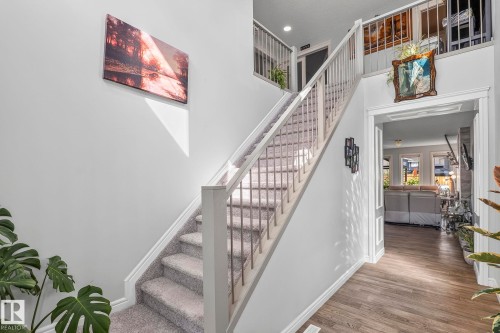 Carpeted staircase with white railings, wood-finish flooring, and a cased opening leading to an additional room - 923 174St Sw, Edmonton, AB 