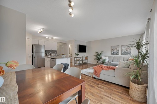 Wood-finish flooring throughout, track lighting, white cabinetry, stainless steel appliances, and a kitchen island with seating - 17321 8A Avenue Sw, Edmonton, AB - Indoor