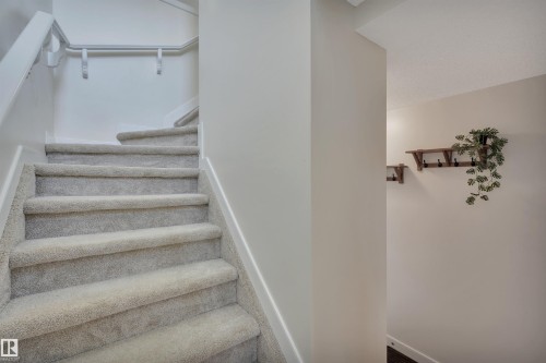 Staircase with light-toned carpeted treads, white handrail, and secondary wall-mounted hand support - 17321 8A Avenue Sw, Edmonton, AB - Indoor Photo Showing Other Room