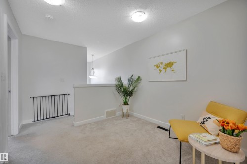 Carpeted flooring, painted walls, ceiling-mounted lighting, and a partial wall barrier - 17321 8A Avenue Sw, Edmonton, AB - Indoor Photo Showing Other Room