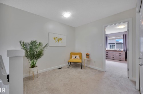 Neutral wall paint, light-colored carpeting, white trim, and a flush-mount ceiling light - 17321 8A Avenue Sw, Edmonton, AB - Indoor