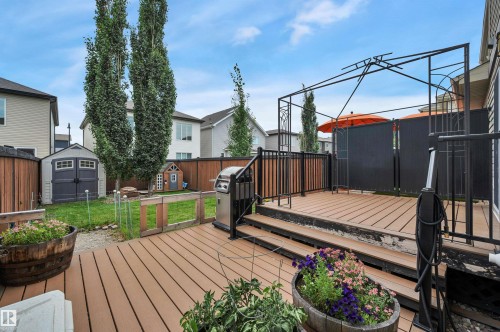 Expansive backyard featuring a multi-level wood-finish deck, black metal railings, and a storage shed - 17321 8A Avenue Sw, Edmonton, AB - Outdoor With Deck Patio Veranda With Exterior