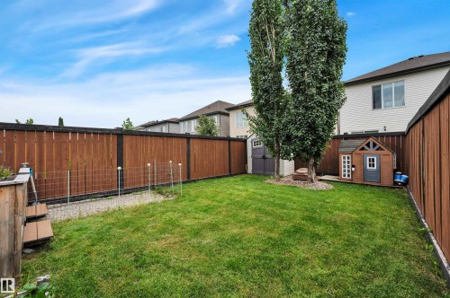 Private fenced backyard featuring a manicured lawn, two mature trees, and a garden shed - 17321 8A Avenue Sw, Edmonton, AB - Outdoor