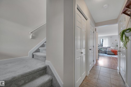 Staircase with carpeted treads and white handrail - 17321 8A Avenue Sw, Edmonton, AB - Indoor Photo Showing Other Room