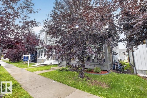 2619 Chokecherry Lane Sw, Edmonton, AB - Outdoor