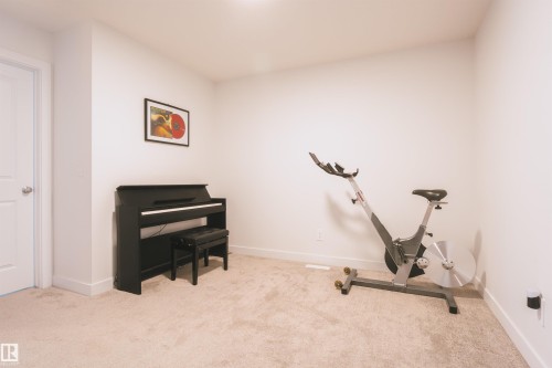3732 214 Street Nw, Edmonton, AB - Indoor Photo Showing Gym Room