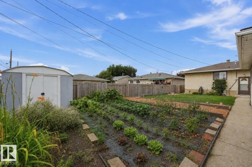 13303 Delwood Road Nw, Edmonton, AB - Outdoor With Backyard