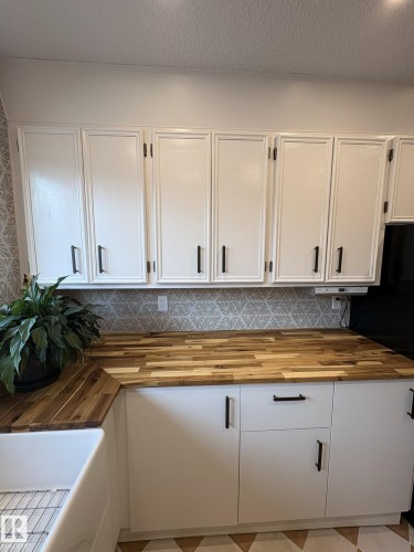 9024 60 Street Nw, Edmonton, AB - Indoor Photo Showing Kitchen