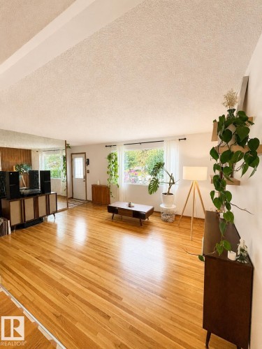 9024 60 Street Nw, Edmonton, AB - Indoor Photo Showing Living Room