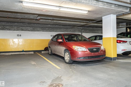 Dedicated parking space with concrete flooring, strip lighting, and clearly marked stall numbers - #219 10333 112 St Nw, Edmonton, AB - Indoor Photo Showing Garage