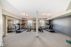 Carpeted fitness area with full-length mirrors, track lighting, and multiple windows - 