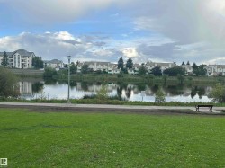 Expansive green space featuring a paved pathway, mature trees, and a tranquil pond - 