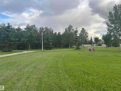 Expansive green space featuring a paved pathway, mature trees, and picnic tables - #331 9704 174 St Nw, Edmonton, AB 