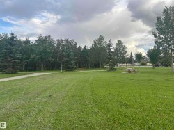 Expansive green space featuring a paved pathway, mature trees, and picnic tables - 