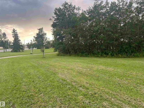 Expansive green space featuring a paved walkway, mature trees, and natural foliage - #331 9704 174 St Nw, Edmonton, AB 
