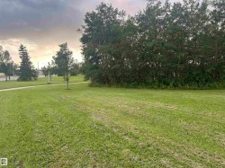 Expansive green space featuring a paved walkway, mature trees, and natural foliage - 