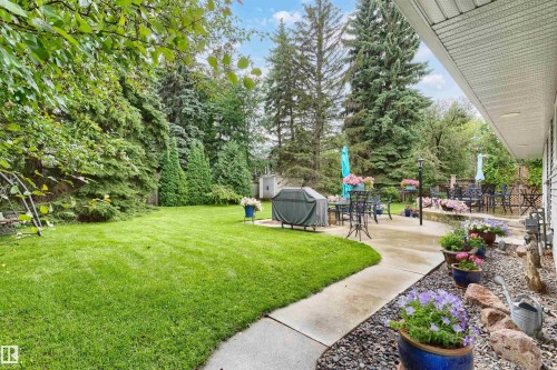 7 Quesnell Crescent Nw, Edmonton, AB - Outdoor