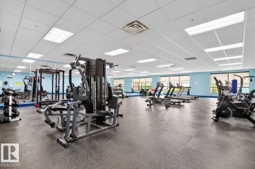 Spacious fitness center featuring various exercise equipment, resilient flooring, extensive mirrors, and large windows - #210 7909 71 St Nw, Edmonton, AB - Indoor Photo Showing Gym Room