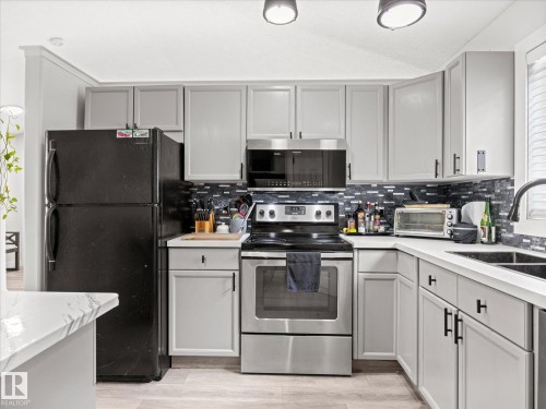 2916 31 Street Nw, Edmonton, AB - Indoor Photo Showing Kitchen With Double Sink