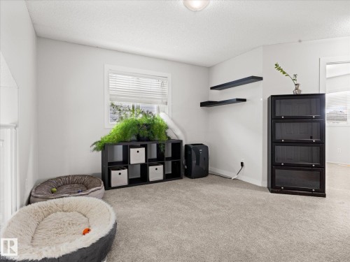 2916 31 Street Nw, Edmonton, AB - Indoor