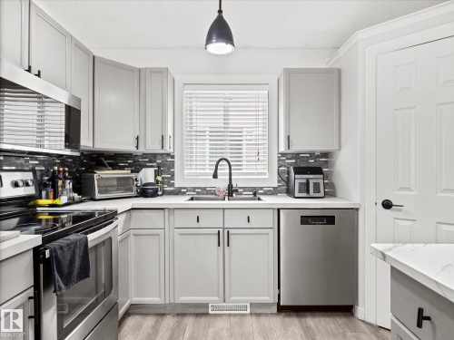 2916 31 Street Nw, Edmonton, AB - Indoor Photo Showing Kitchen With Double Sink