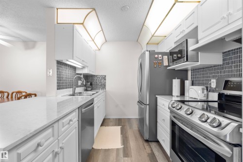 #101 10511 42 Av Nw, Edmonton, AB - Indoor Photo Showing Kitchen With Stainless Steel Kitchen With Double Sink
