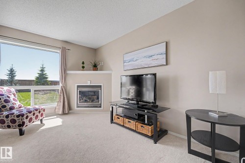 9083 Scott Crescent Nw, Edmonton, AB - Indoor With Fireplace