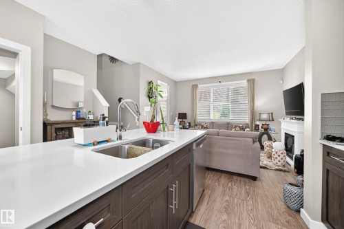 6136 Rosenthal Way Nw, Edmonton, AB - Indoor Photo Showing Kitchen With Fireplace With Double Sink