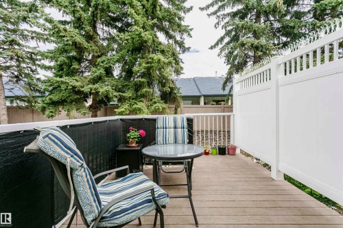 Spacious outdoor deck featuring wood-finish flooring, white privacy fencing, and mature trees - #42 9630 176 St Nw, Edmonton, AB - Outdoor With Deck Patio Veranda With Exterior