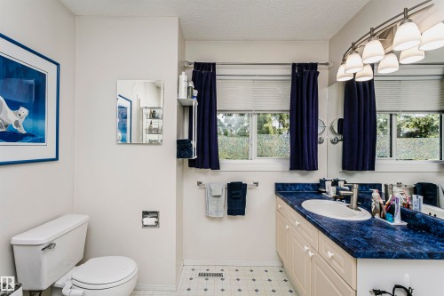 Vanity with a blue patterned countertop, dual windows, built-in cabinetry, and a multi-bulb light fixture - #42 9630 176 St Nw, Edmonton, AB - Indoor Photo Showing Bathroom